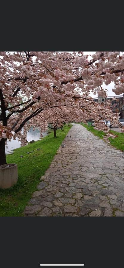 Kartal Centar Apartment Bihac Luaran gambar